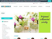 Tablet Screenshot of brandex.sk